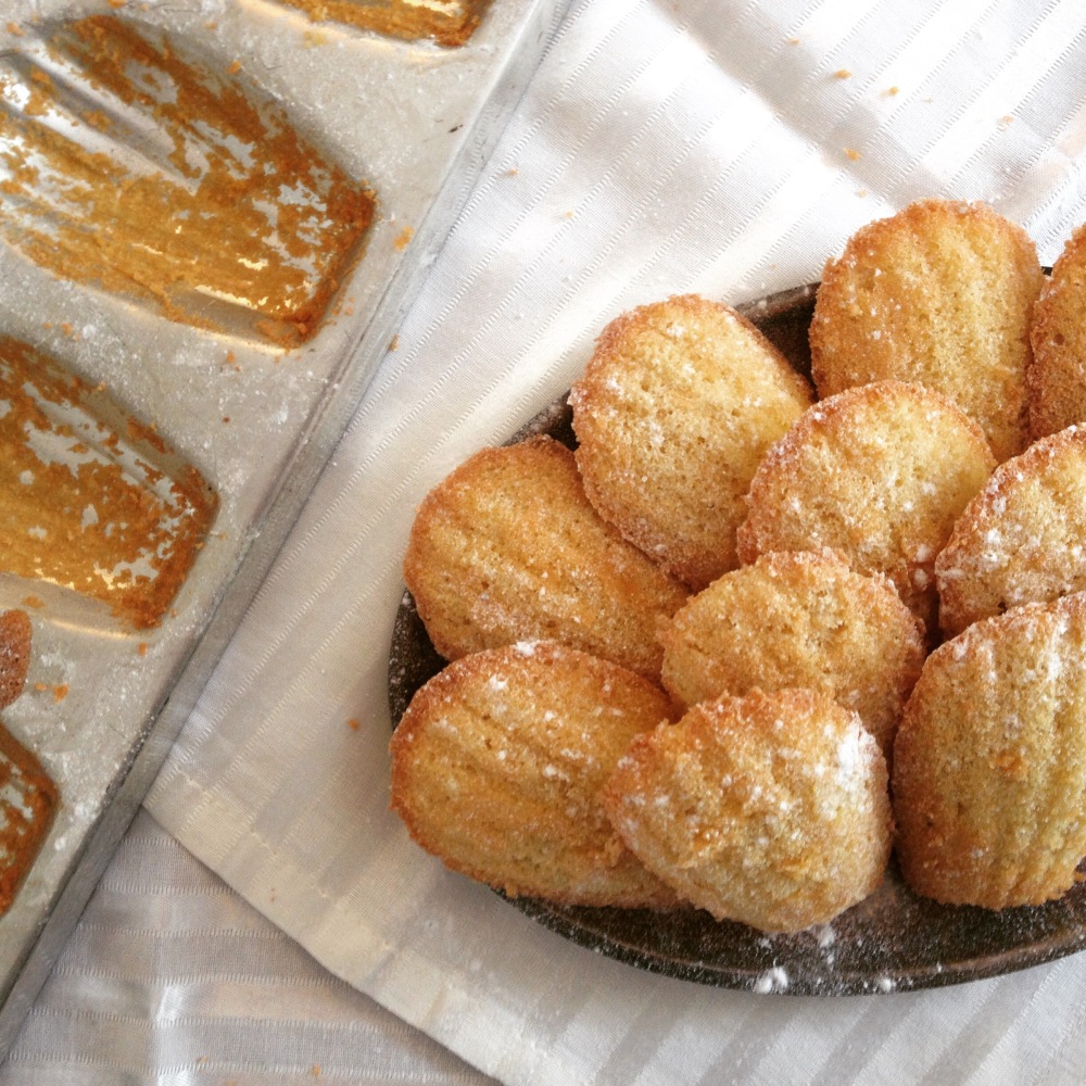 Sweet Sunday – Classic French Madeleines – Basil and Oil
